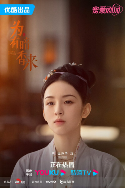 周也王涛主演，网剧为有暗香来