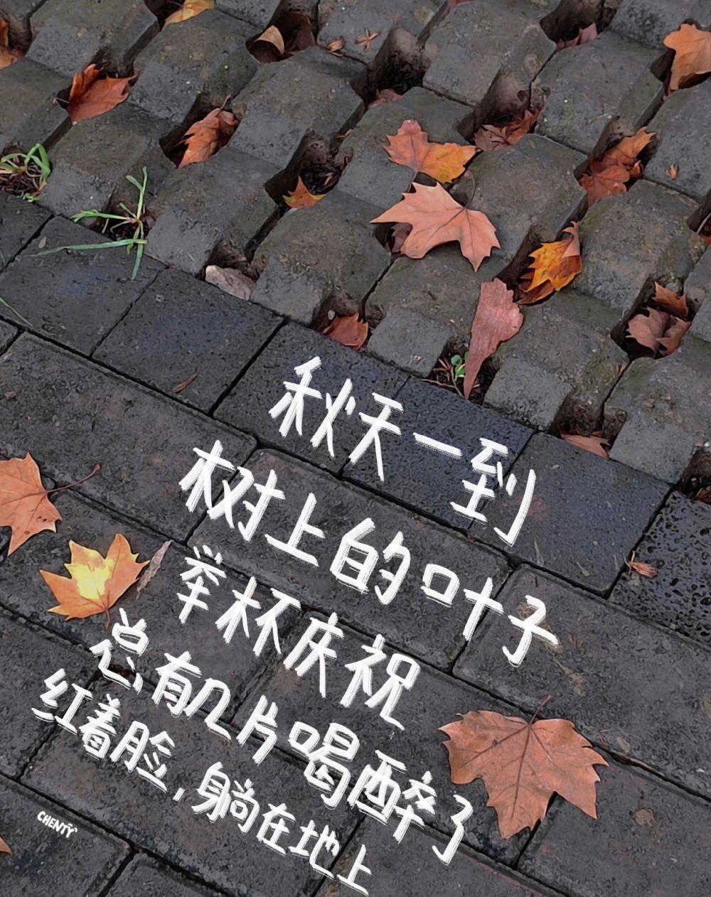 想太多，会没有时间思考快乐