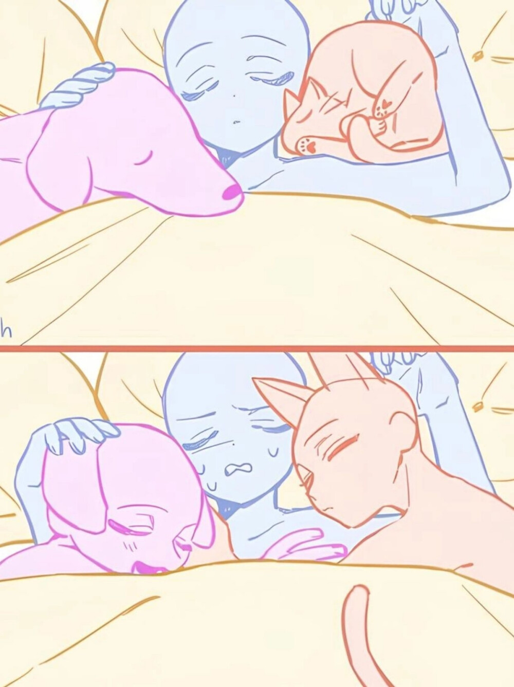 模板