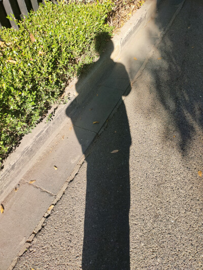 搞不懂自己为什么要剪短头发
下个月发工资我就去接头发
服了我自己了