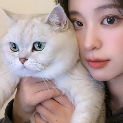 抱猫女生头像