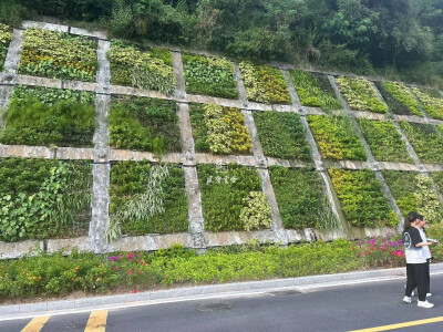 深圳职业技术大学护坡技术项目