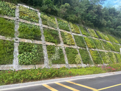 深圳职业技术大学护坡技术项目