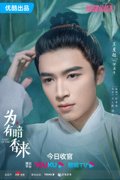 网剧为有暗香来，王涛周也主演