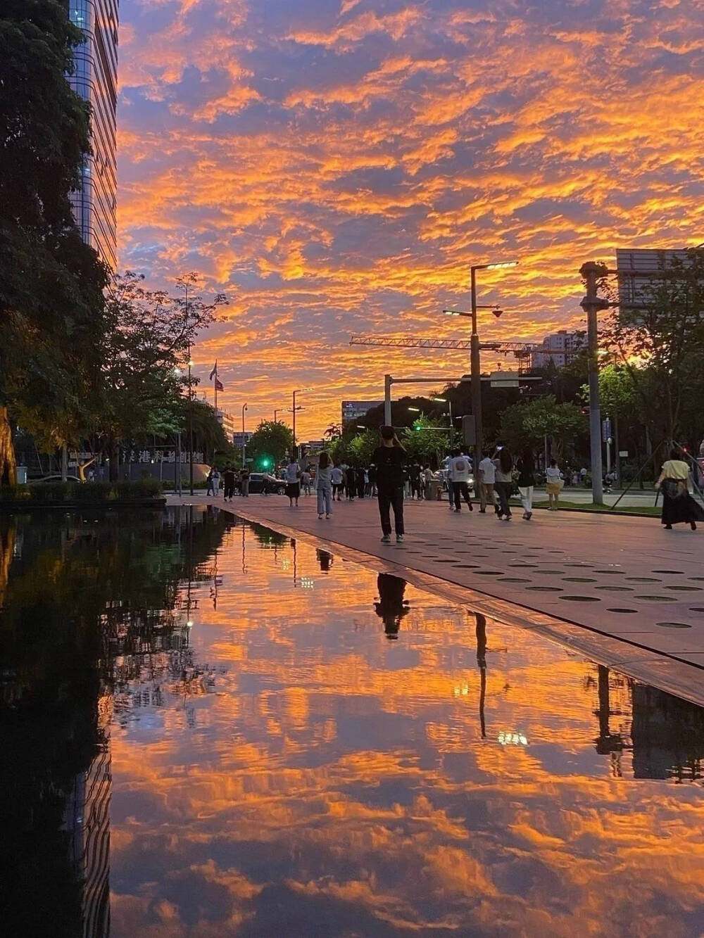 风景壁纸