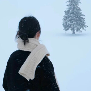 雪地真人情头