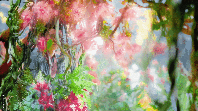 长月烬明
cr:囍喜曦兮