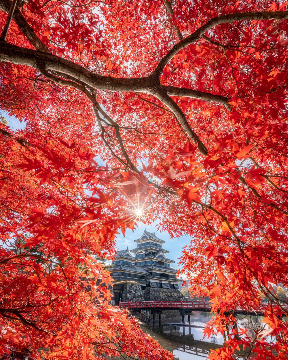 日本 長野県 松本城 Matsumoto castle 