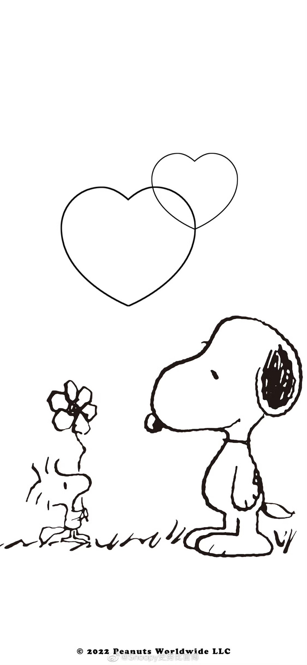 高清图片,堆糖,美图壁纸兴趣社区