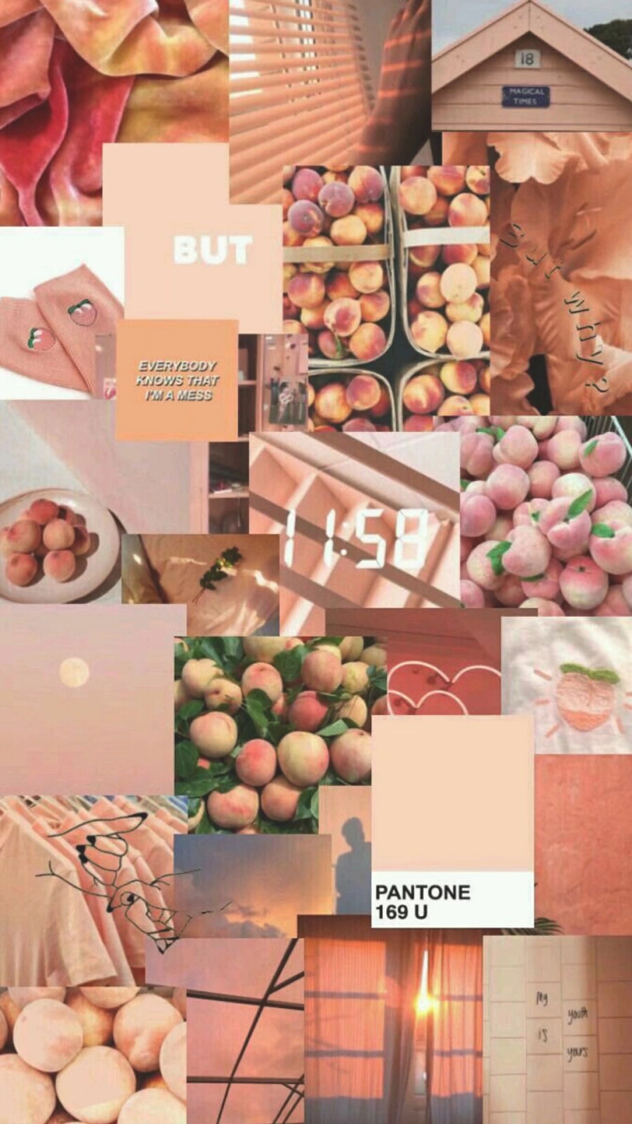 壁纸
竖屏
侵删