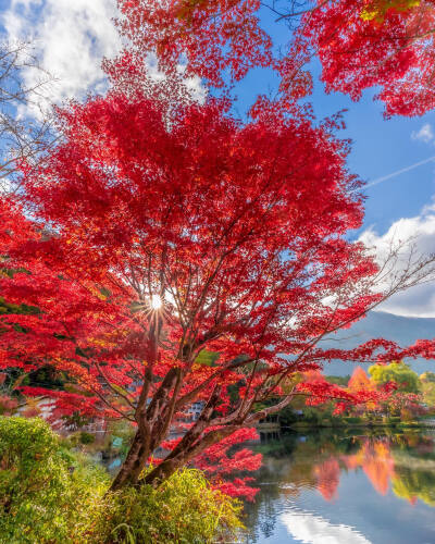 日本 大分県 湯布院 由布院 金鱗湖 yufuin 