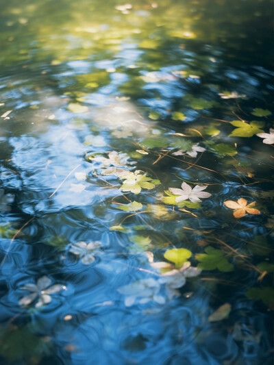 落花流水