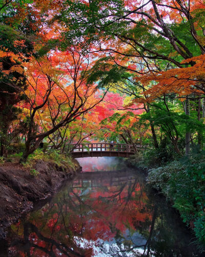 日本 大分県 湯布院 由布院 金鱗湖 yufuin 