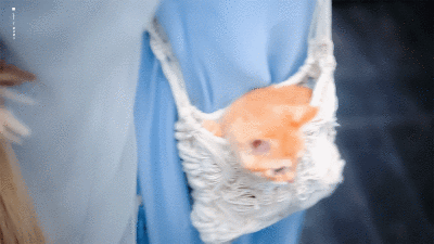 长月烬明
cr:囍喜曦兮