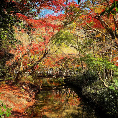 日本 大分県 湯布院 由布院 金鱗湖 yufuin 