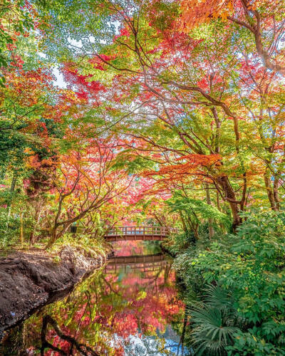 日本 大分県 湯布院 由布院 金鱗湖 yufuin 