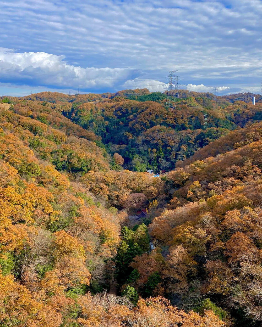 日本 大阪府 交野市 民の森 ほしだ園地にある吊り橋「星のブランコ」