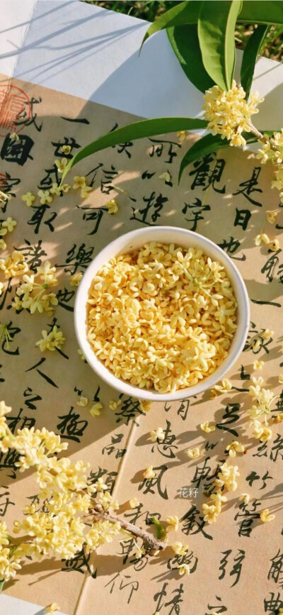 壁纸
图源微信