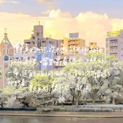 ꙳. ♡̴⋆ 白狗恋 ɞ ‧₊˚⊹