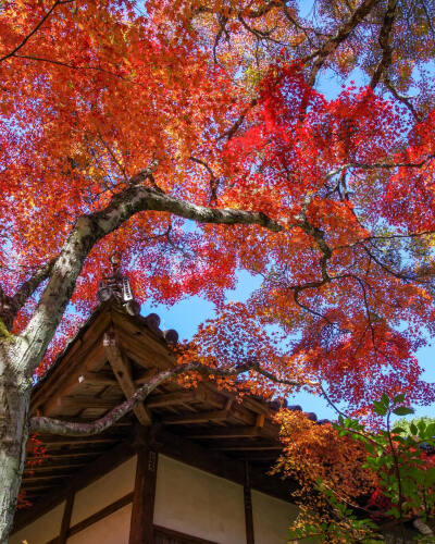 日本 京都 亀岡 Kameoka 神蔵寺 Jinzoji Temple