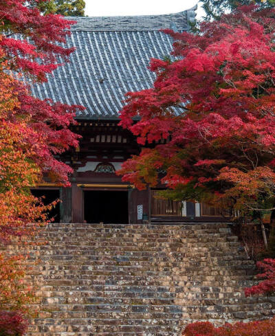 日本 京都 神護寺 Jingo-ji Temple