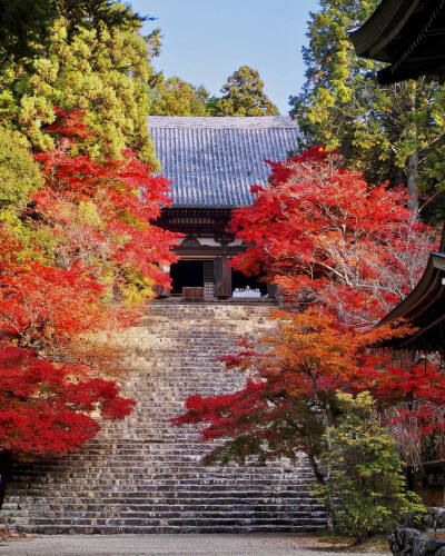 日本 京都 神護寺 Jingo-ji Temple