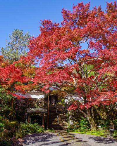 日本 京都 亀岡 Kameoka 神蔵寺 Jinzoji Temple