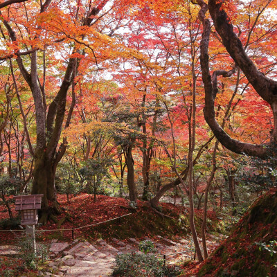 日本 京都 常寂光寺 Jojakkoji Temple Jojakko-ji 