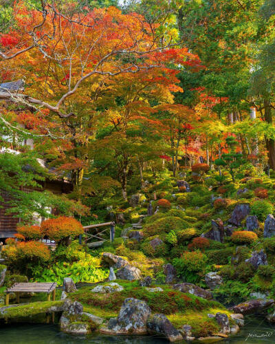 日本 滋賀県 西明寺 湖東三山 