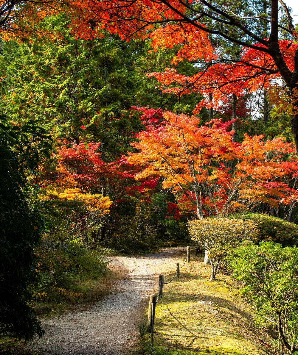 日本 奈良県 円成寺 Enjo-ji Temple