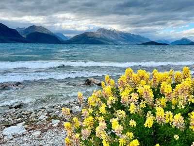 新西兰 Glenorchy 魔戒小镇 《指环王》和《霍比特人》的取景地