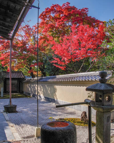 日本 京都 大徳寺 塔頭 黄梅院 Oubai-in Temple