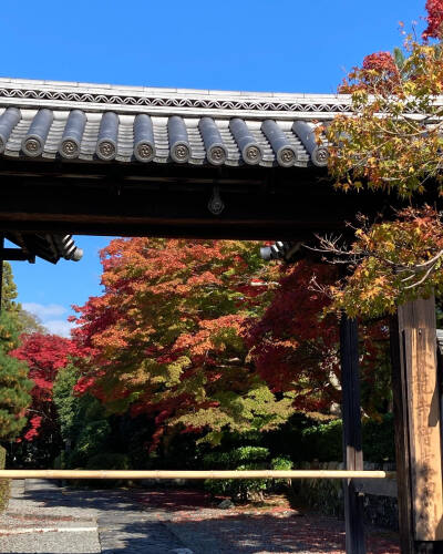 日本 京都 天龍寺 