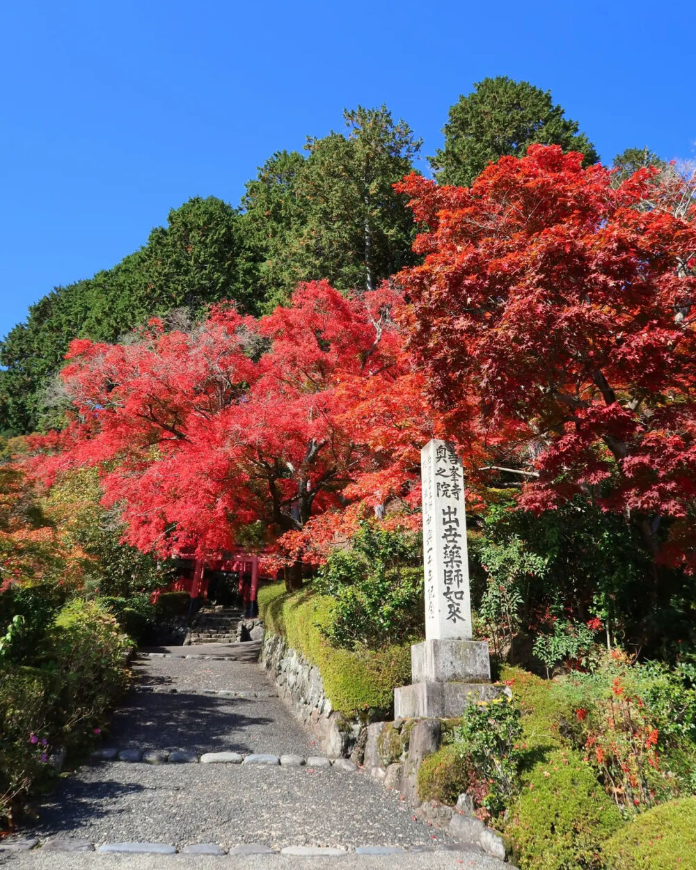 日本 京都 善峯寺