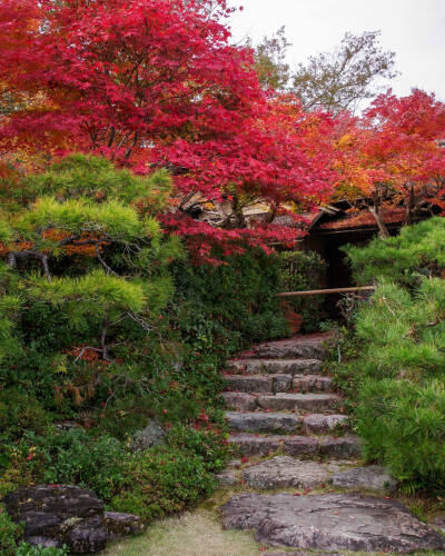 日本 京都 大河内山荘 Okochi Sanso 滴水庵前庭と紅葉 