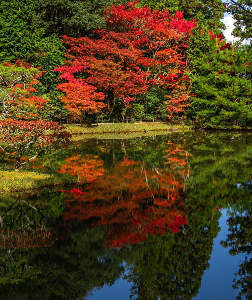 日本 奈良県 円成寺 Enjo-ji Temple