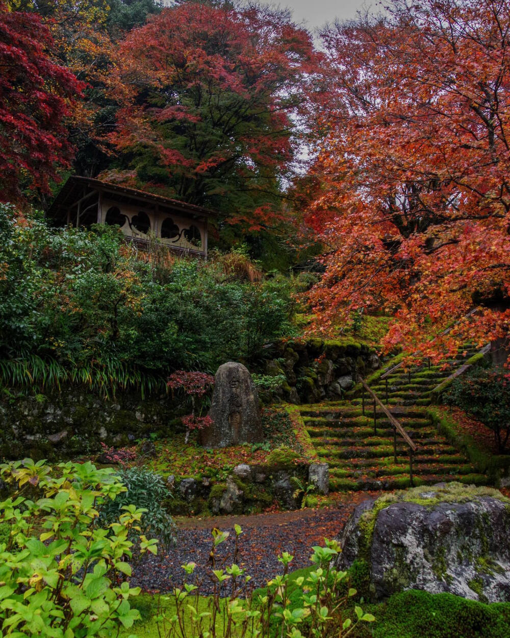 日本 京都 白龍園 Hakuryuen 紅葉も苔も 霧雨に濡れて色鮮やかでした