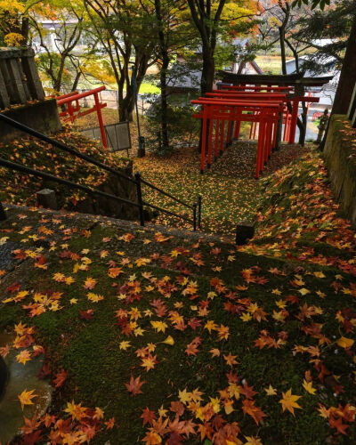 日本 京都 路边 鸟居