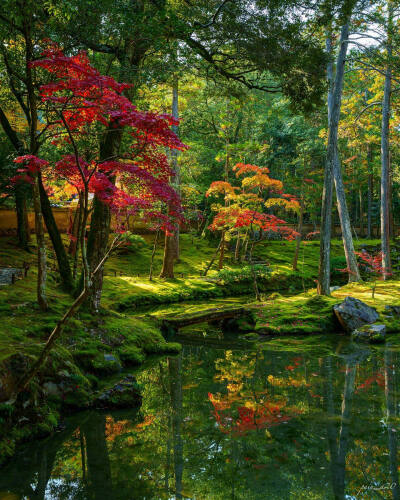 日本 京都 西芳寺 苔寺 Saihoji Temple (Moss Temple) 