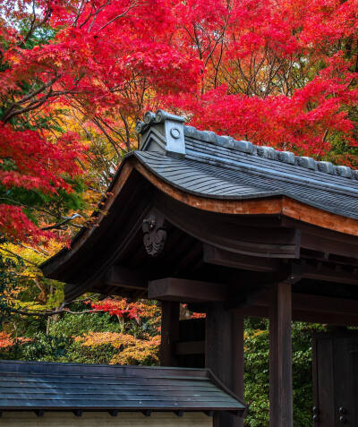 日本 奈良県 円成寺 Enjo-ji Temple