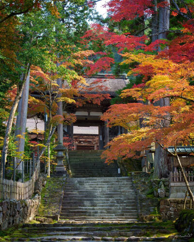 日本 滋賀県 西明寺 湖東三山 