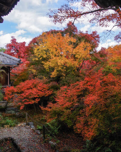 日本 京都 宝筐院 Hokyo-in Temple