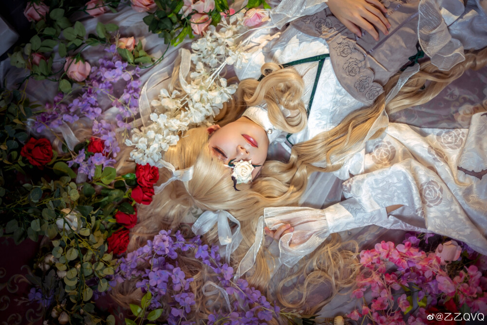 蔷薇少女/coser
雪华绮晶
CN：乙乙QvQ