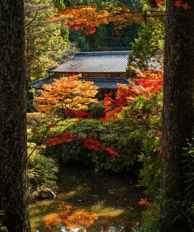 日本 奈良県 円成寺 Enjo-ji Temple