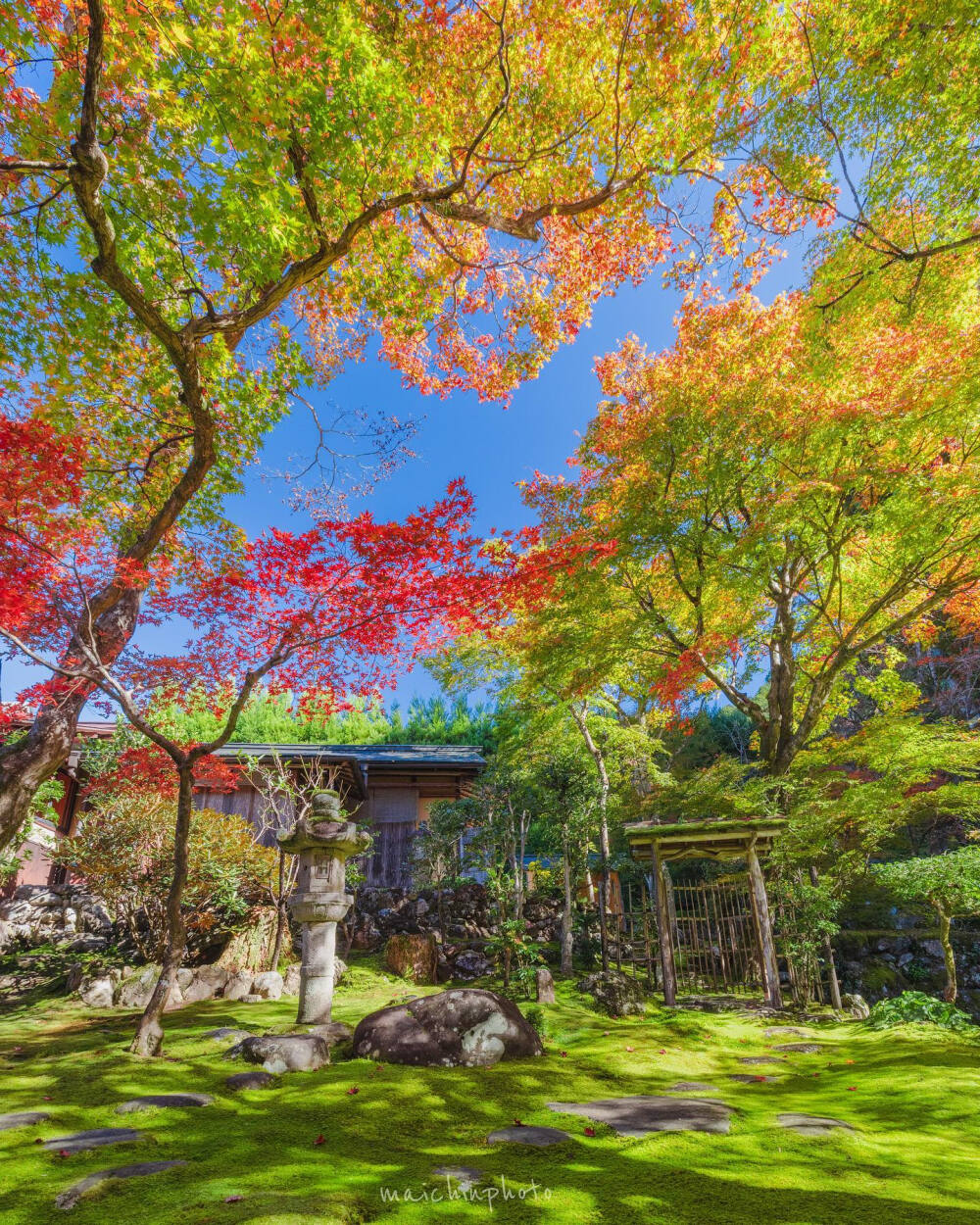 日本 岐阜県 郡上八幡 慈恩寺 苔