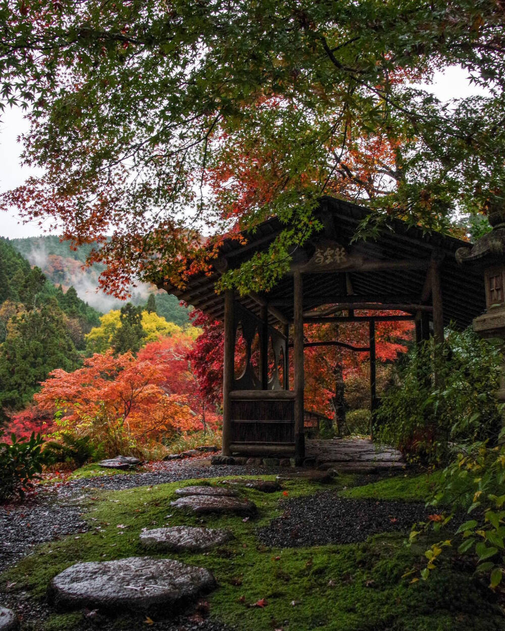 日本 京都 白龍園 Hakuryuen 紅葉も苔も 霧雨に濡れて色鮮やかでした