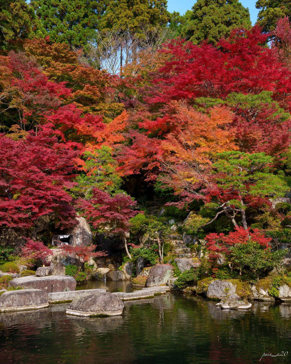 日本 滋賀県 百済寺 湖東三山 鯉は神様の使いと言われているそうです