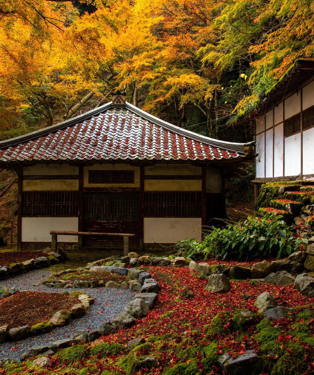 日本 京都 大原 古知谷阿弥陀寺 Kochitani Amida-ji Temple