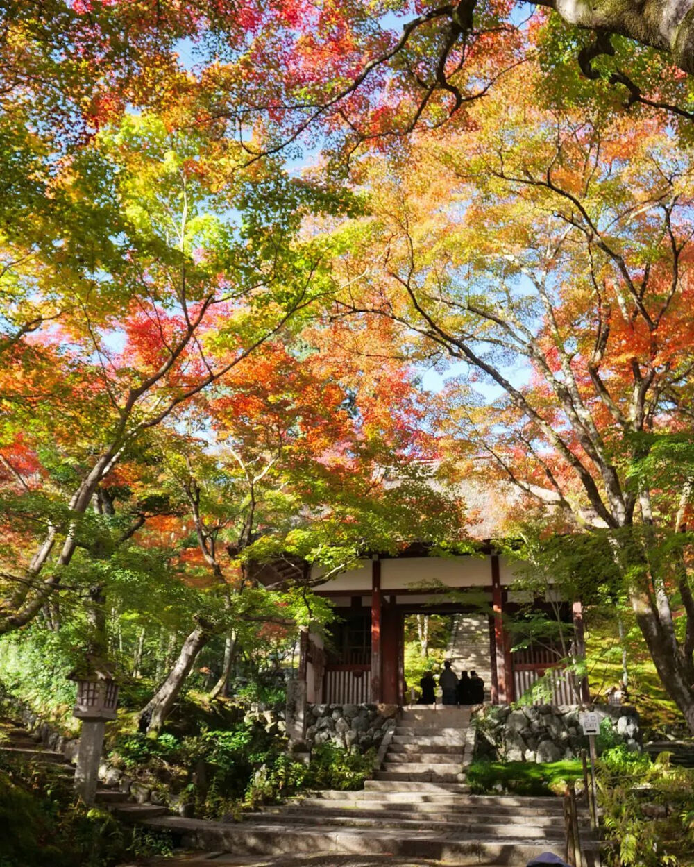 日本 京都 常寂光寺 Jojakkoji Temple Jojakko-ji 