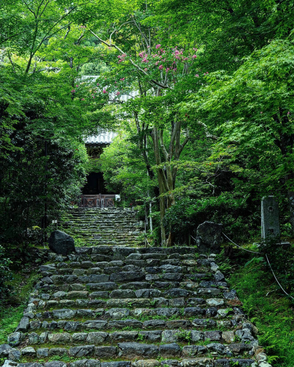 日本 京都 葉室山 浄住寺 Jojuji temple 